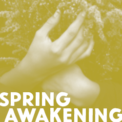Spring Awakening artwork