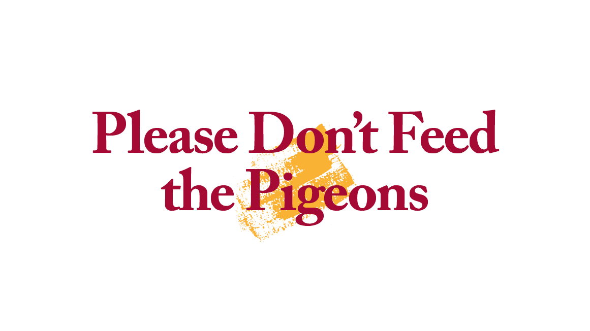 Please Don't Feed the Pigeons